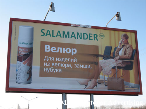 Salamander in Minsk Outdoor Advertising: 18/11/2007